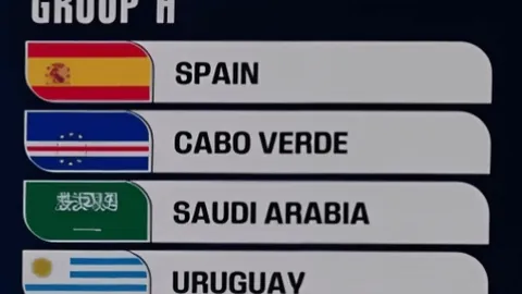 2021-2022赛季欧冠里尔队参赛阵容解析