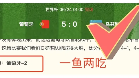 2026世界杯焦点战阿根廷迎战瑞士：谁将品尝胜利果实