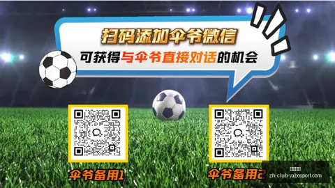 2026独家：尤文图斯药厂新星阿拉伊贝戈维奇转会谈判进展